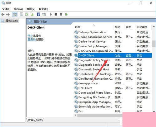 解决Windows 10无法启用DHCP服务的实用指南